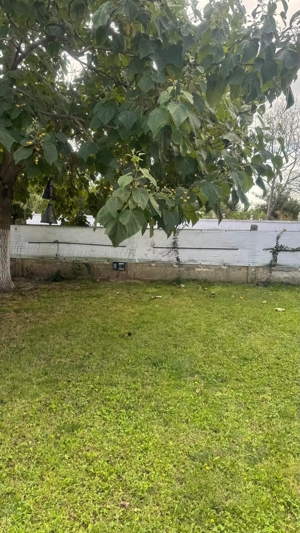 Casă cu pod mansardabil, 20 km de Delta Dunării - imagine 11