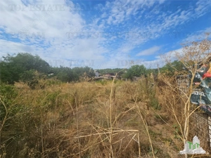 Teren 1385mp in zona Ghencea-Drumul Taberei