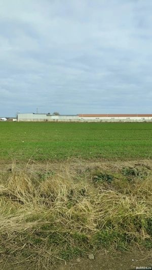 Teren intravilan Aurel Vlaicu -Tonis trade - imagine 5