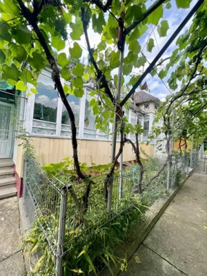 Casă + Teren Intravilan 1500mp - Boroaia - imagine 8