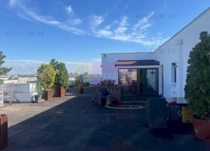 Penthouse Titan- Baba Novac. - imagine 15