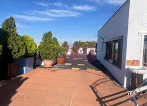 Penthouse Titan- Baba Novac. - imagine 13