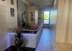 Penthouse Titan- Baba Novac. - imagine 8