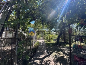 Casa + teren de vânzare - Zănești - imagine 7 Casa + teren de vânzare - Zănești - imagine 7