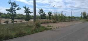 Teren 800 mp zona linistita  - imagine 4