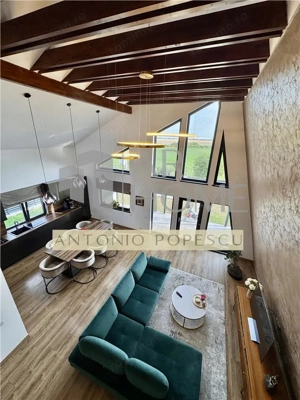 Casa 3 camere deosebita, in Paulestii Noi - imagine 8