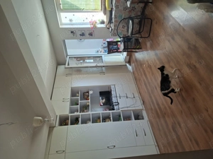 garsoniera mare si boema