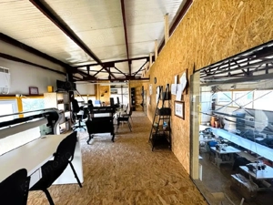 Hale in Slatina,str General Aurel Aldea si 1433 mp teren - imagine 15