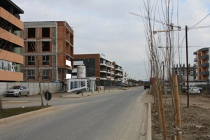 Theodor Pallady - Policolor, teren 3700mp - imagine 2