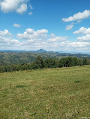 De vânzare  teren  - imagine 12 De vânzare  teren  - imagine 12