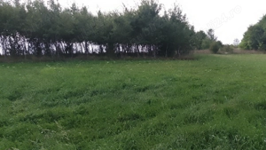 Teren Mănăstirea Dragomirnei  - imagine 3