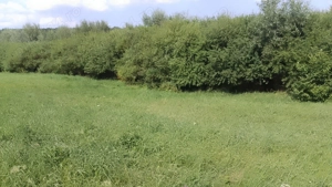 Teren Mănăstirea Dragomirnei  - imagine 7