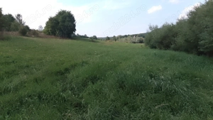 Teren Mănăstirea Dragomirnei  - imagine 4