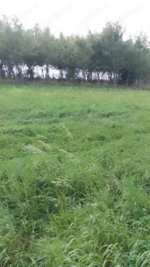 Teren Mănăstirea Dragomirnei  - imagine 8