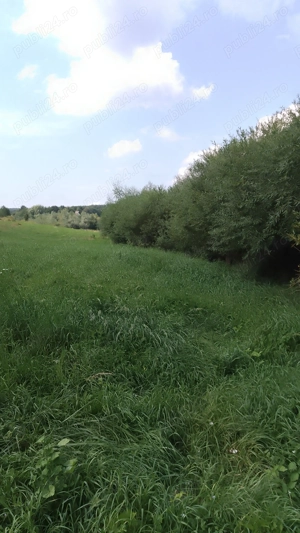 Teren Mănăstirea Dragomirnei  - imagine 9