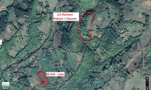 CASA-teren-PADURE-pasune Parva, jud  BN - imagine 2