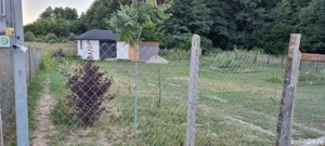 Vand teren cu anexa, Budeasa Mica - imagine 3 Vand teren cu anexa, Budeasa Mica - imagine 3