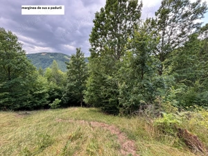 CASA-teren-PADURE-pasune Parva, jud  BN - imagine 7