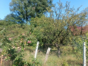 Vând casă cu curte(261m3) +grădină (781m3)  - imagine 6