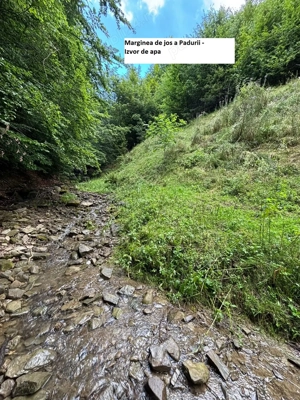 CASA-teren-PADURE-pasune Parva, jud  BN - imagine 5