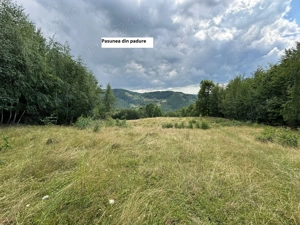 CASA-teren-PADURE-pasune Parva, jud  BN - imagine 9