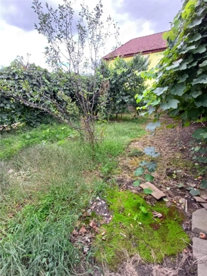 Casa de vanzare in Talmaciu - imagine 20