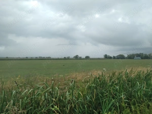 Vant teren 4600 mp Fanat 