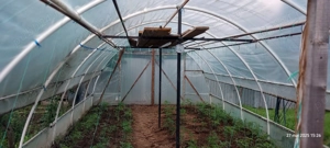 vand sera 8x4 metri si bazin ibc cu stativ inaltime pentru irigat - imagine 5