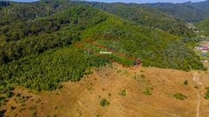 Teren 6,000mp Crizbav / Strada principala - imagine 2