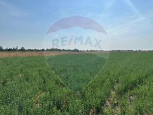 Teren Intravilan parcelat de vanzare Zona Bujac