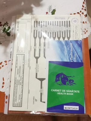 Ciobănesc de Bucovina  - imagine 5 Ciobănesc de Bucovina  - imagine 5