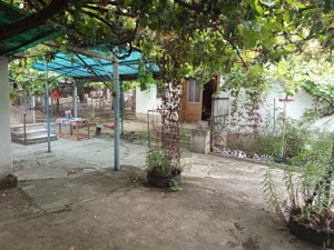 Bradisoru de Jos, Casa 14 Incaperi + Teren 1439MP - imagine 13