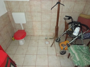 Bradisoru de Jos, Casa 14 Incaperi + Teren 1439MP - imagine 20