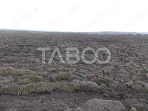 Teren intravilan de vanzare 10.000 mp in zona Industriala Vest Sibiu - imagine 3