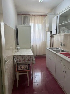 Dambu Pietros - Vanzare ap. 2 camere + garaj - B-dul. 1848 - imagine 6