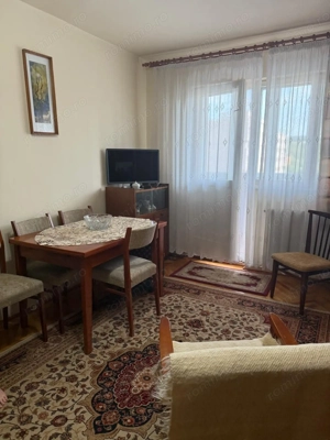 Dambu Pietros - Vanzare ap. 2 camere + garaj - B-dul. 1848 - imagine 12