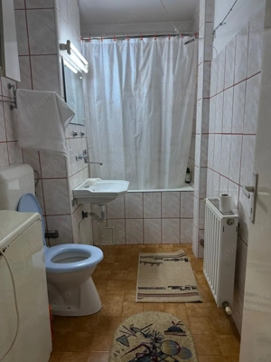 Dambu Pietros - Vanzare ap. 2 camere + garaj - B-dul. 1848 - imagine 10