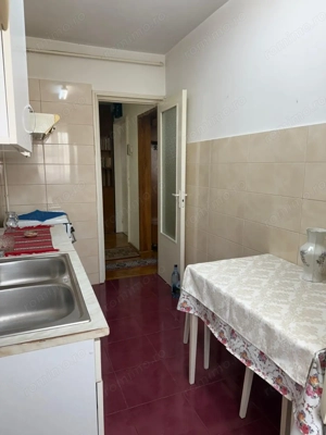 Dambu Pietros - Vanzare ap. 2 camere + garaj - B-dul. 1848 - imagine 8