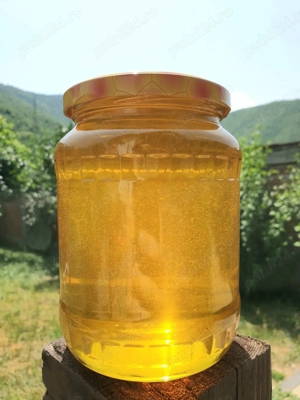 Vand miere poliflora si de rapita