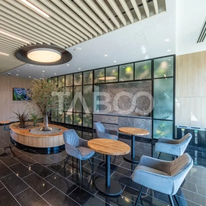 Birouri premium in Sibiu–Spatii flexibile moderne pentru companii TOP - imagine 17