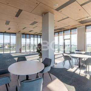 Birouri premium in Sibiu–Spatii flexibile moderne pentru companii TOP - imagine 7