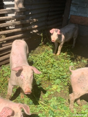 De vanzare mai multe detali la telefon - imagine 2