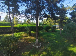 Apartament de vânzare   4 camere, cartier Mărăști - imagine 19