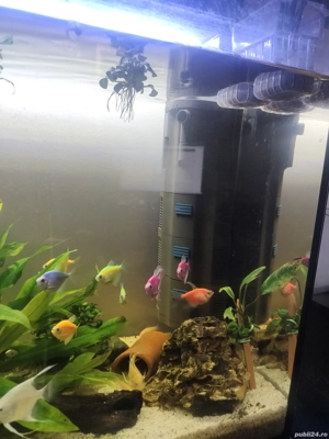 Acvariu Oase filtru pesti plante - imagine 6