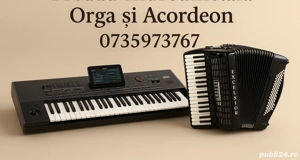 Lecții orga acordeon 40 ron