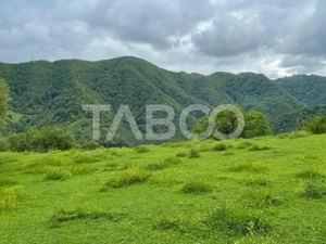 Teren intravilan de vanzare in Martinia de sus