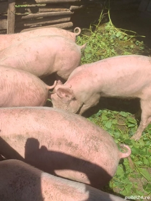 De vanzare mai multe detali la telefon - imagine 3