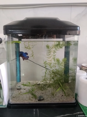 Acvariu 10 l cu capac  - imagine 2