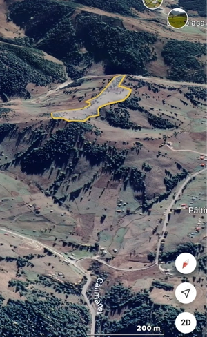 Teren extravilan   5 hectare   Panaci, sat Păltiniș, județul Suceava - imagine 8