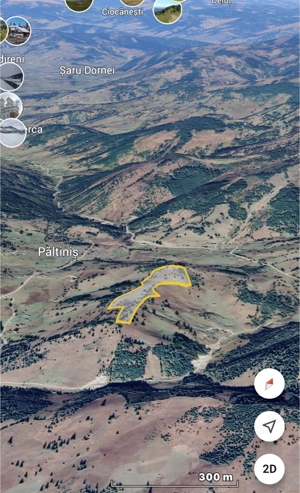 Teren extravilan   5 hectare   Panaci, sat Păltiniș, județul Suceava - imagine 9